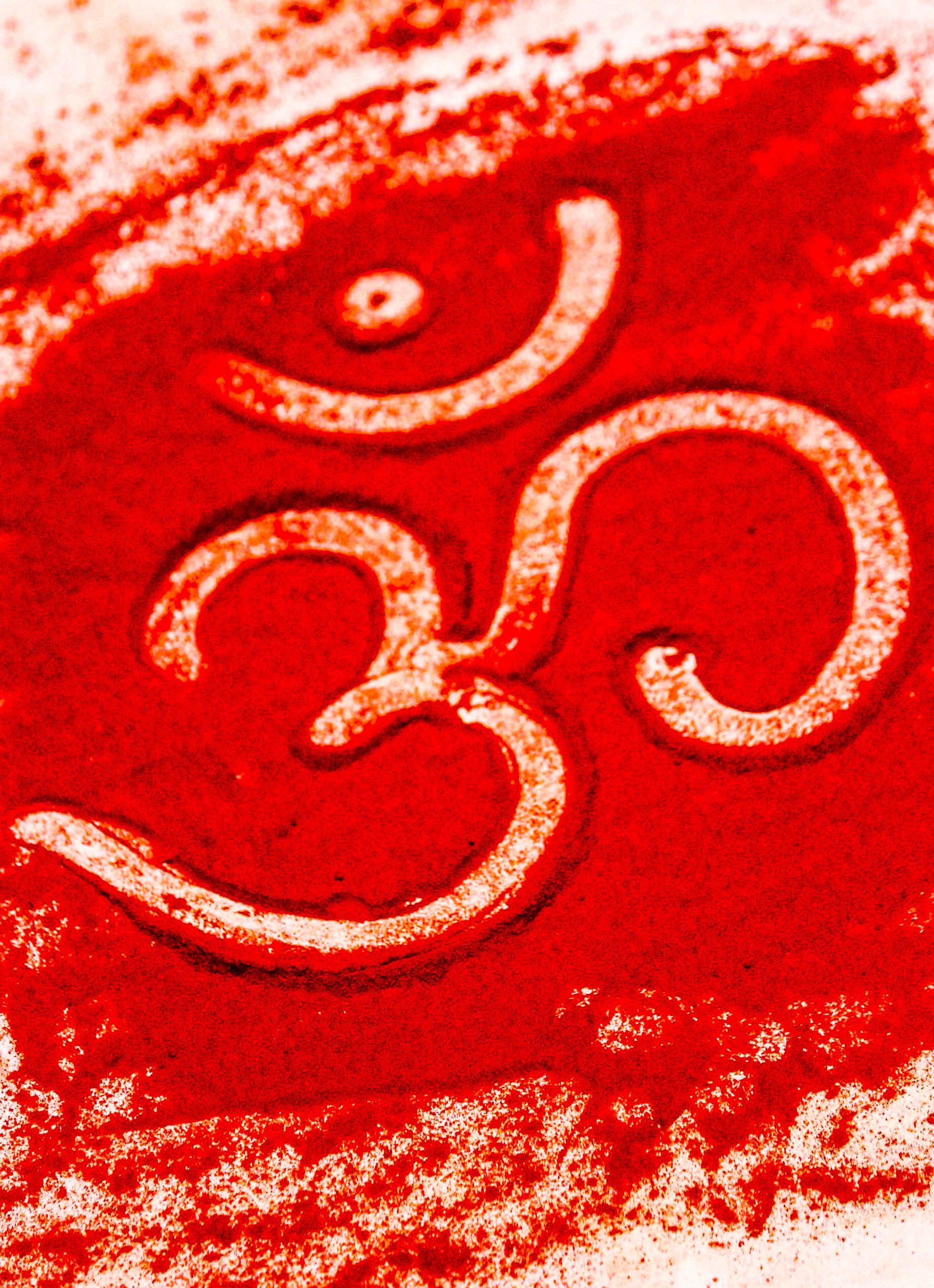 Vedic religious services by highly qualified Hindu priest
